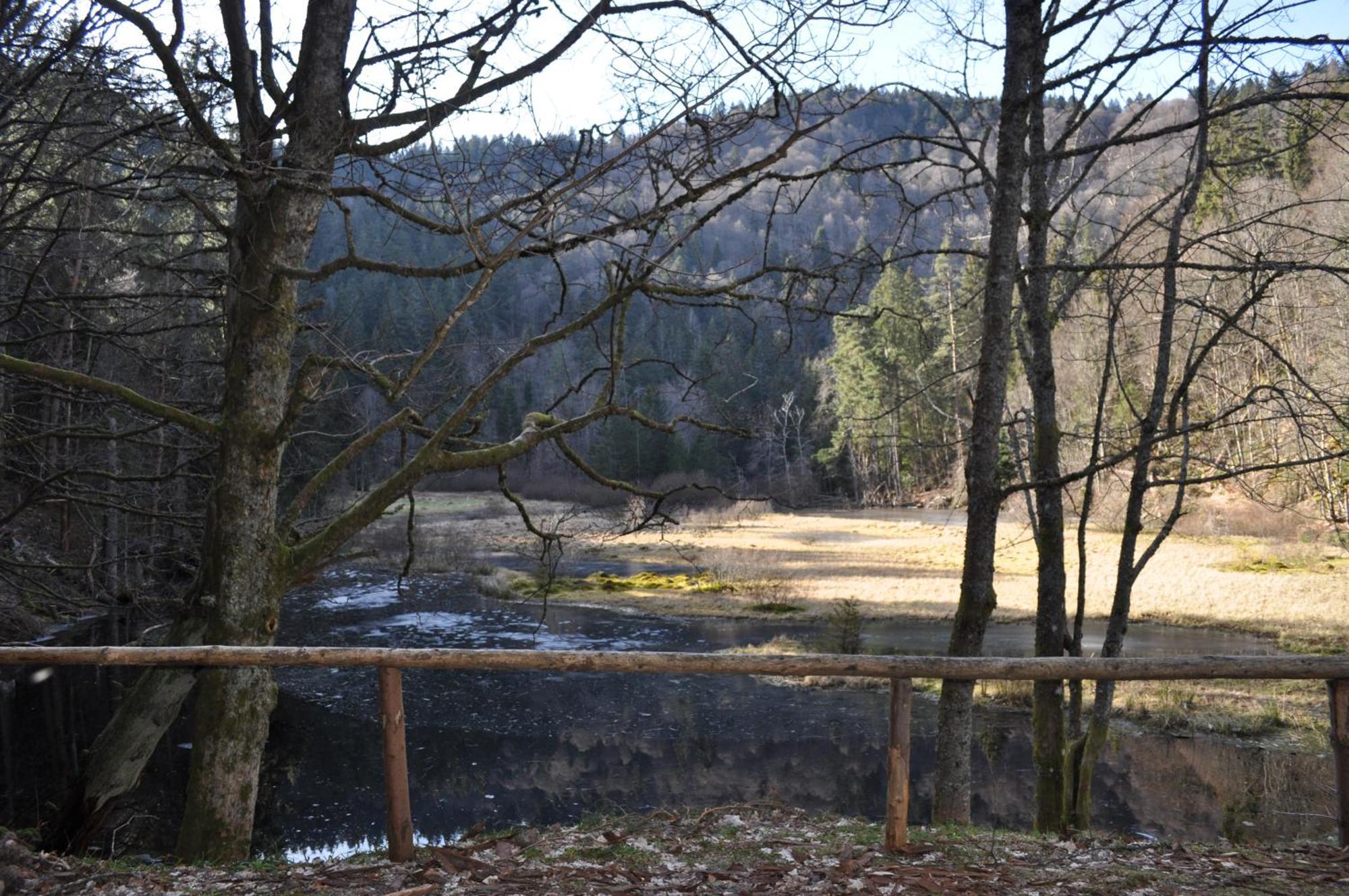 Auberge De L'Etang Du Devin Lapoutroie Exterior foto