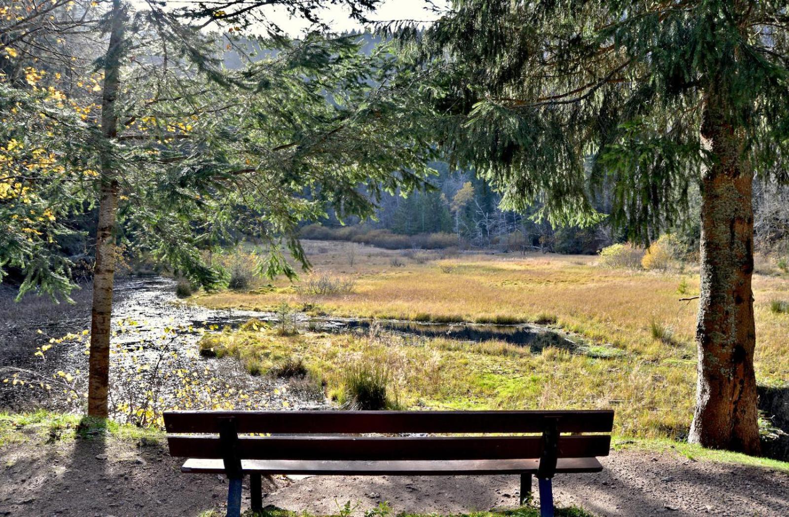 Auberge De L'Etang Du Devin Lapoutroie Exterior foto